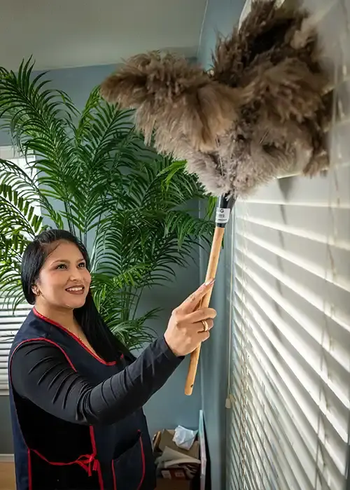 A photo of an Esthela cleaner meticulously dusting blinds